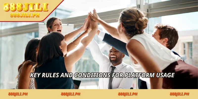 Key rules and conditions for platform usage