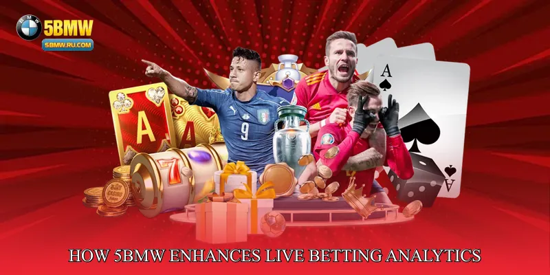 How 5BMW Enhances Live Betting Analytics